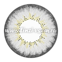 Цветные линзы EOS Briller Grey Фото 3